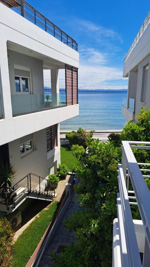 Вилла Amare Luxury Living Волос Экстерьер фото